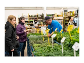 Objevte Halu 22 v Holešovické tržnici znovu