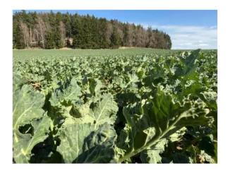 Zvyšování efektivity v českém zemědělství 2026