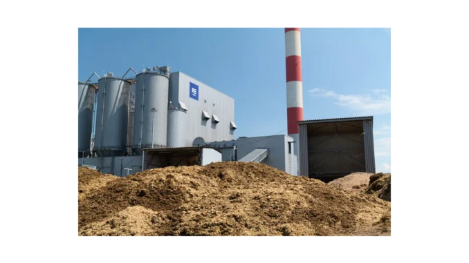 Biomasa v ČR: Růst spotřeby o 20 % za 5 let