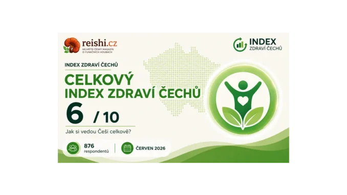 Index zdraví Čechů: Spánek a energie na chvostu